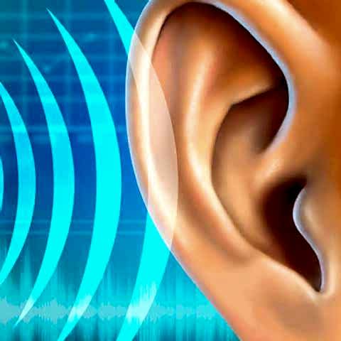 sesin kulaga aktarimi blog