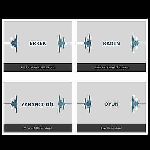 seslendirme sanatcilari