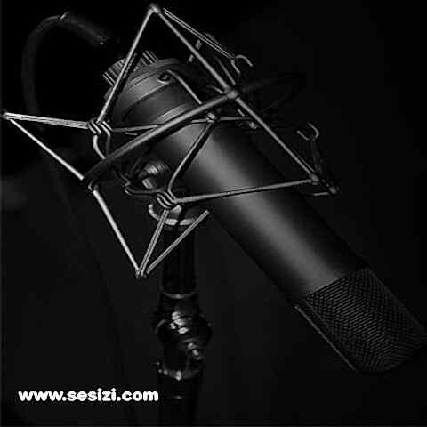 Seslendirme Sanatcisi Olmak isteyenlere oneriler 1