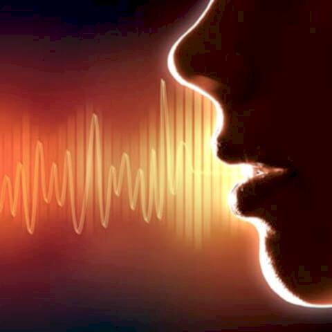 arapca seslendirme sesizi