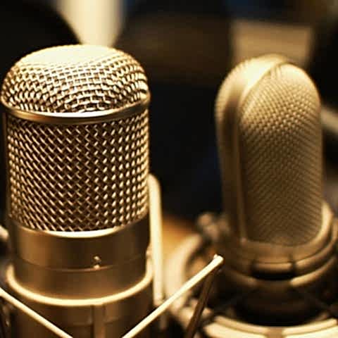 seslendirme sanatciligi sesizi