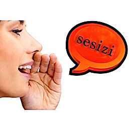 seslendirme sesizi 1